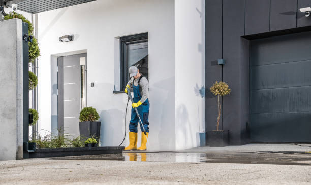 Best Rust Removal  in Owingsville, KY